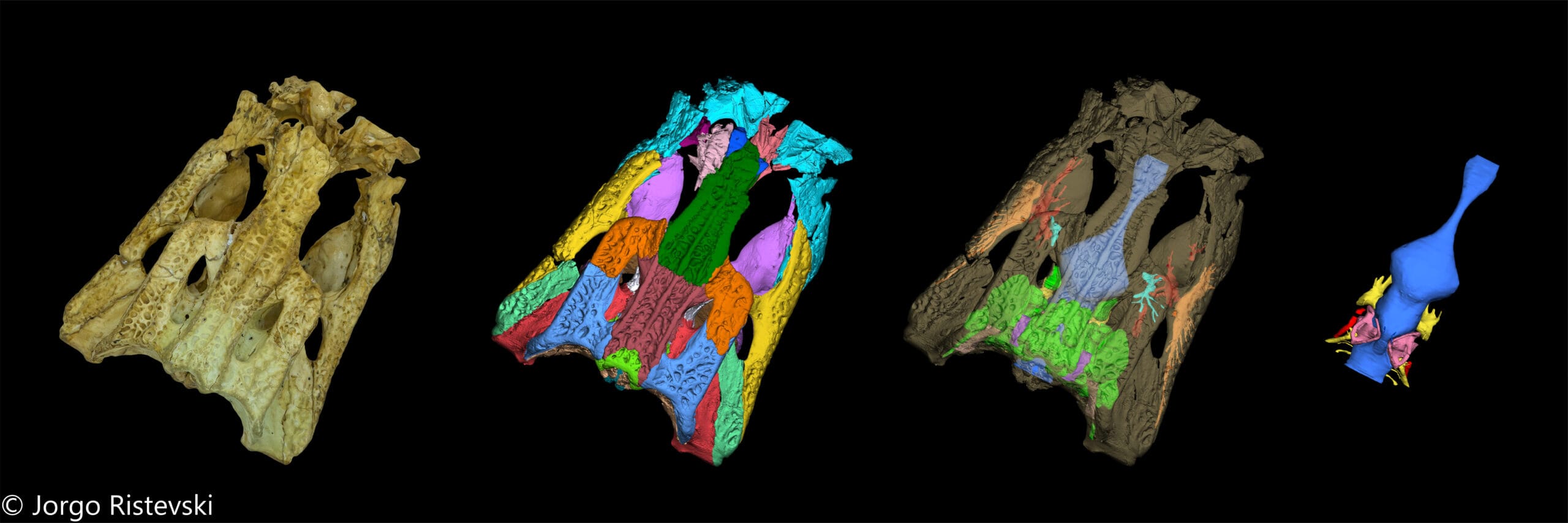 Jorgo Ristevski's publications